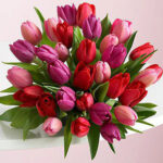 Rainbow Tulips Sydney - Florist Choice - In Stock - Image 2