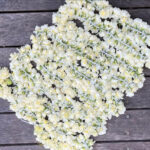 H00- Seasonal Jonquils string